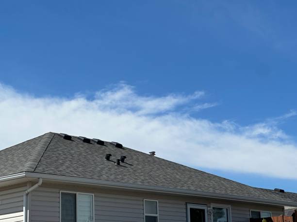 Best Gutter Installation and Repair  in Las Lomas, CA